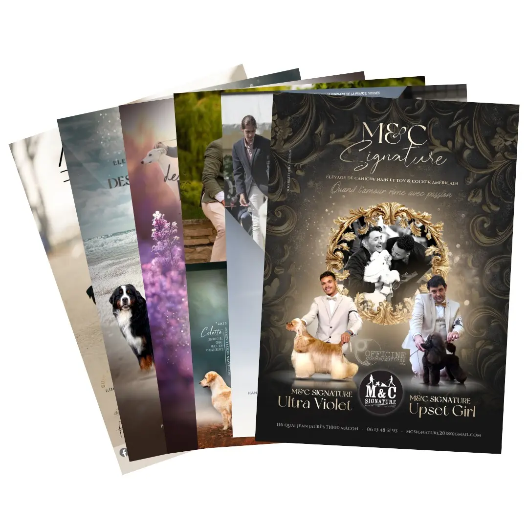 Publicité Catalogue